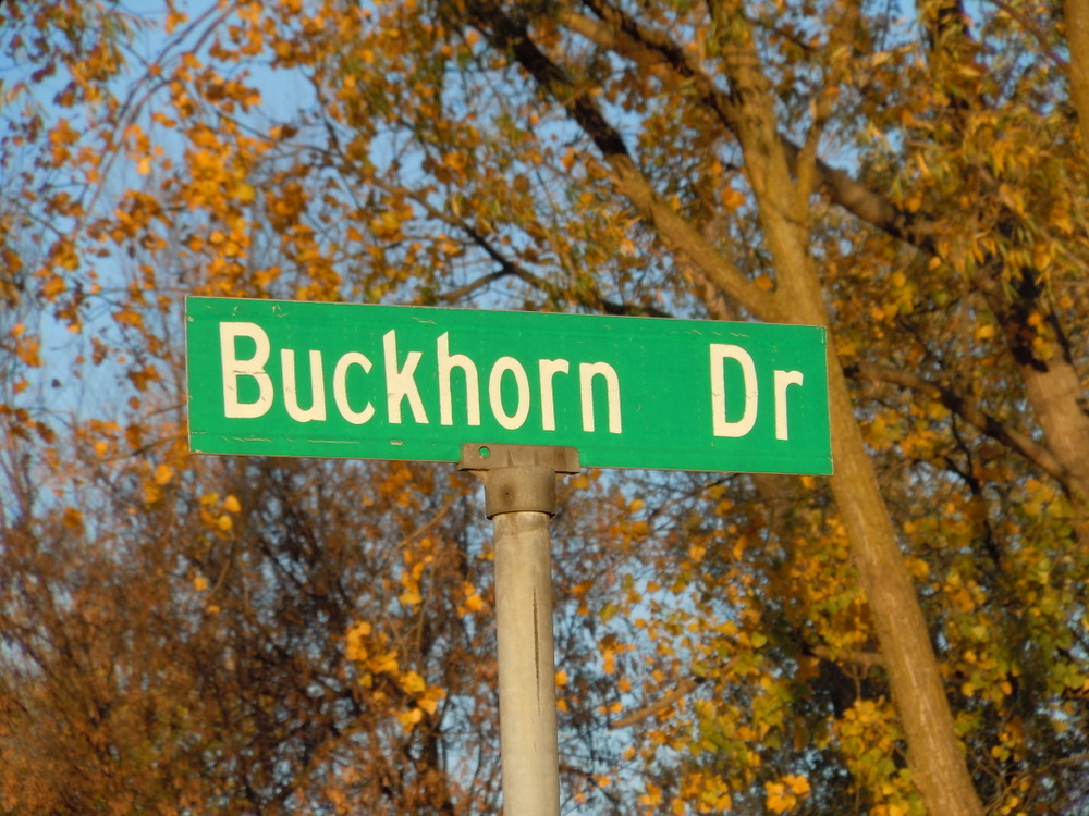 Buckhorn Lake Orion Township Michigan